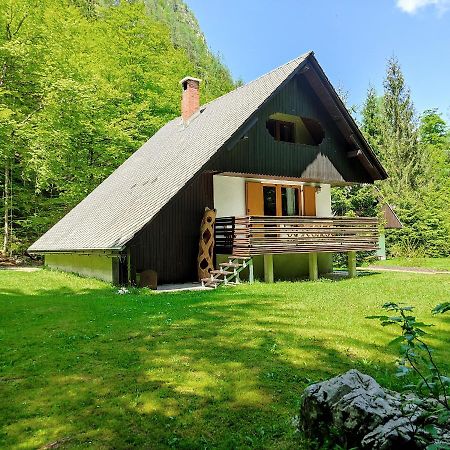 Chalet Via Mons Mojstrana Zewnętrze zdjęcie
